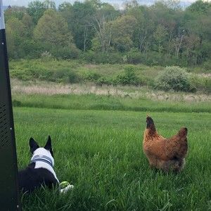 Meet your Posher, Lynn